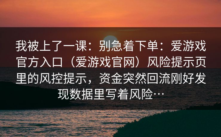 我被上了一课：别急着下单：爱游戏官方入口（爱游戏官网）风险提示页里的风控提示，资金突然回流刚好发现数据里写着风险…