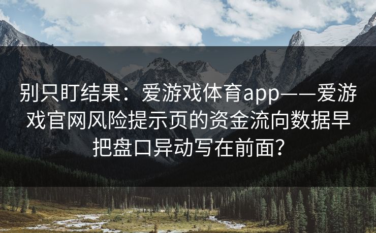 别只盯结果：爱游戏体育app——爱游戏官网风险提示页的资金流向数据早把盘口异动写在前面？