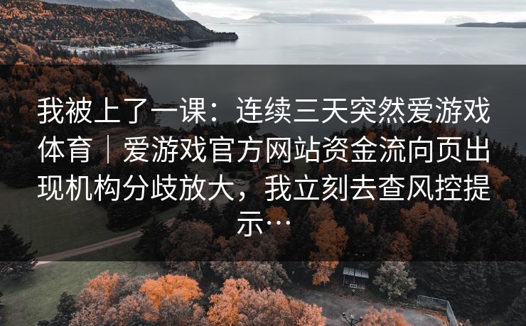 我被上了一课：连续三天突然爱游戏体育｜爱游戏官方网站资金流向页出现机构分歧放大，我立刻去查风控提示…
