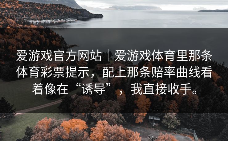 爱游戏官方网站｜爱游戏体育里那条体育彩票提示，配上那条赔率曲线看着像在“诱导”，我直接收手。